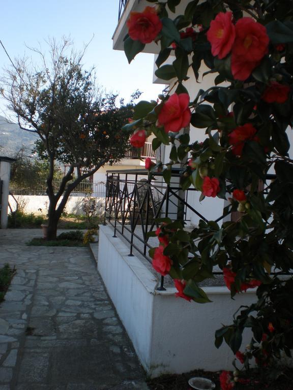 Karagiozos Studios & Apartments Skopelos Zimmer foto